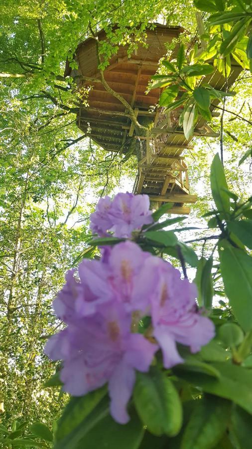 Le Domaine De Wail - Legends Resort Номер фото